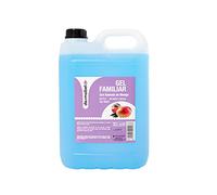 DESMABEL Family Gel con essenza di mango | Bagnoschiuma per bagno, doccia e mani | Igiene quotidiana per tutta la famiglia pH 5,5 | Flacone professionale da 5 litri