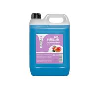 DESMABEL Family Gel Doccia, Bagno e Mani al Mango | 5 L | Gel detergente per corpo, mani e doccia | pH 5.5 per uso quotidiano | Formato professionale