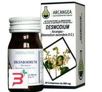 DESMODIUM 60 CAPSULE 500 MG