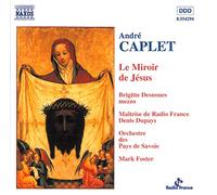 Desnoues,Brigitte - Le Miroir de Jesus