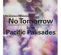 Desolation Wilderness - No Tomorrow B/W Pacific Palisades