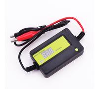 Desolfatatore battery al piombo 12V-24V-48V Automatico -matenimento batterye