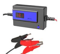 Desolfatore automatico per batterie al piombo-acido GEL, AGM, SLA, per auto, camion, moto, ATV, barche, pannello solare,con clip grandi (200AH Blu,12-48V)