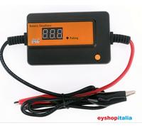 Desolfatore POTENZIAMENTO Batterie al piombo 12V 24V 36V 48V 60V 72 fino a 600Ah