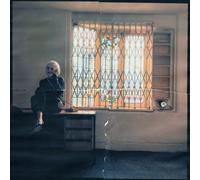 Desperate Journalist No Hero (Vinyl LP)