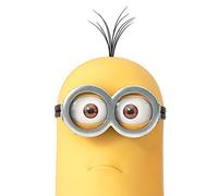 Despicable Me Stampe su Tela Kevin Close Up 40 x 50 cm, Poliestere, Multicolore, 40x50x3.2 cm