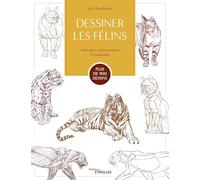 Disegnare i felini – Posizioni, movimenti e anatomia