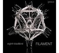 Dessner/ Eighth Blackbird - Filament