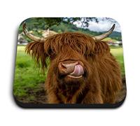 Destination Vinyl ltd Awesome Square - Magneti quadrati in MDF - Brown Highland mucca bovini per ufficio, armadietto e lavagna, adesivi magnetici, 44472