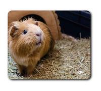 Destination Vinyl ltd Confortevole Mat Mouse - Adorabile Zenzero Criceto 23.5 x 19.6 cm (9.3 x 7.7 Pollici) per Il calcolatore & Computer Portatile, Ufficio, Regalo, Base Antiscivolo - RM3820