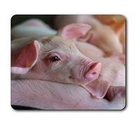 Destination Vinyl Ltd Confortevole Mat Mouse - Adorable Rosa Piglet Farm Pigs 23.5 x 19.6 cm (9.3 x 7.7 Pollici) per Il calcolatore & Computer Portatile, Ufficio, Regalo, Antiscivolo Base - RM8822