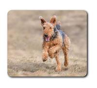 Destination Vinyl ltd Confortevole Mat Mouse - Airedale Terrier Cucciolo, Cane 23.5 x 19.6 cm (9.3 x 7.7 Pollici) per Il calcolatore & Computer Portatile, Ufficio, Regalo, Base Antiscivolo - RM12469