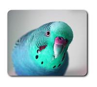Destination Vinyl ltd Confortevole Mat Mouse - Blu Verde Budgie Uccello 23.5 x 19.6 cm (9.3 x 7.7 Pollici) per Il calcolatore & Computer Portatile, Ufficio, Regalo, Base Antiscivolo - RM14566