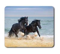 Destination Vinyl Ltd Confortevole Mat Mouse - Cavalli di contea Ocean Animal 23.5 x 19.6 cm (9.3 x 7.7 Pollici) per Il calcolatore & Computer Portatile, Ufficio, Regalo, Base Antiscivolo - RM12681