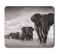 Destination Vinyl ltd Confortevole Mat Mouse - Elefante Africano Mandria 23.5 x 19.6 cm (9.3 x 7.7 Pollici) per Il calcolatore & Computer Portatile, Ufficio, Regalo, Base Antiscivolo - RM8955