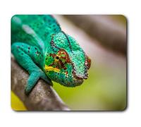 Destination Vinyl ltd Confortevole Mat Mouse - Lizard Panther Chameleon 23.5 x 19.6 cm (9.3 x 7.7 Pollici) per Il calcolatore & Computer Portatile, Ufficio, Regalo, Base Antiscivolo - RM12644