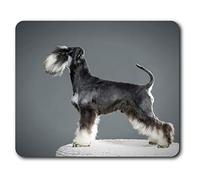 Destination Vinyl Ltd Confortevole Mat Mouse - Miniature Schnauzer Puppy Dog 23.5 x 19.6 cm (9.3 x 7.7 Pollici) per Il calcolatore & Computer Portatile, Ufficio, Regalo, Base Antiscivolo - RM21888