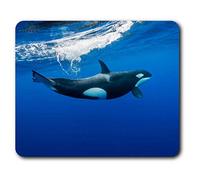 Destination Vinyl ltd Confortevole Mat Mouse - Orca Killer Whale Underwater 23.5 x 19.6 cm (9.3 x 7.7 Pollici) per Il calcolatore & Computer Portatile, Ufficio, Regalo, Base Antiscivolo - RM2006