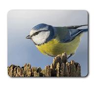 Destination Vinyl Ltd Confortevole Mouse Mat - Blue Tit Bird Garden Birds 23.5 x 19.6 cm (9.3 x 7.7 Pollici) per Il calcolatore & Computer Portatile, Ufficio, Regalo, Antiscivolo Base - RM3119