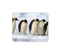 Destination Vinyl Ltd Divertente tappetino per mouse con pinguini e neve, per bambini, per computer, #8102