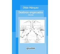 Destinos engarzados - Novela: Misterio, la espiritualidad y la búsqueda interior