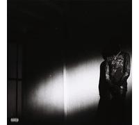 Destroy Lonely - No Stylist (LP)