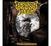 Destroying The Devoid - Paramnesia