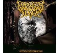 Destroying the Devoid Paramnesia (Vinyl LP)