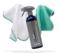 detailmate Koch Chemie Speed Glass Cleaner - Set di pulizia per vetri per auto, 750 ml, con due panni in microfibra, 450 g/m², 35 x 35 cm, con panni in microfibra