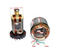 DeTec Bobina Stator Rotore Generatore di corrente a benzina 13 PS 1-Phase 230V