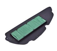 Detergente Filtro Aria per Moto Per NSS300 Per Forza 300 ABS 2018-2020 Per SH300i 2007-2015 Detergente Per Filtro Aria Motore Per Moto(Normal)