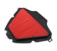 Detergente Filtro Aria per Moto Per X-ADV750 Per XADV 750 Per NC750X NSS750 Per Forza Per DCT 2021-2024 Detergente Per Filtro Aria Motore Per Moto(Normal)