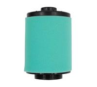 Detergente for filtro di aspirazione for motocicletta for Renegade Max 1000 450 500 570 650 800 850R XT XMR EFI 707800371(A Sponge)