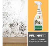Detergente igienizzante di rimozione annerimenti e macchie da pareti PULI MUFFE