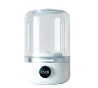 Detergente intimo portatile for lavatrice wireless, mini calzini da 1 litro, secchio for biancheria disidratabile for