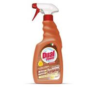Detergente legno PROFESSIONAL Specifico flacone vapo 500 ml DS9140