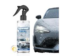 Detergente Parabrezza Auto 100ml Agente per La Rimozione della Neve dal