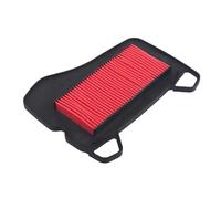 Detergente per Filtro Aria Filtro Aria per Moto per Honda NF110 AFS110 2012, per Wave 110 Dream110 EX5 Iniezione Carburante AFS110 NBC110 2014 2015-2017