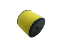 Detergente per filtro aria Per Honda TRX400EX TRX500FA TRX650FA TRX400X TRX500FM TRX500FPE TRX500FPM TRX500FE Elemento Filtrante Per Filtro Aria Per Moto 17254-HN1-000