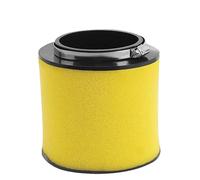 Detergente per filtro aria Per Honda TRX650FA TRX650FA3 TRX650FA4 TRX650FA5 TRX650FGA SXS500M2 TRX500F TRX500PG A Per Rincon Per Pioneer Filtro Aria Per Moto