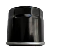 Detergente per filtro olio moto compatibile con X-Cape 650 | Compatibile con i modelli 650 X-Cape 2021-2024; Compatibile con i modelli Siemezzo SCR 2023-2024 e STR