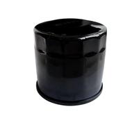 Detergente Per Filtro Olio Per Parti Motore Motociclette Per CF 450 Per 450SR Per 450NK Per CLC Per MT650NK Per GT Per TR-G Per MT Per CF 650 Per Filtri Olio(1pc)