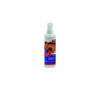 DETERGENZA PROFESSIONALE Deodorante per Ambienti Arancia Cannella Deo Tek A C - Pz. 2 da 200 ml