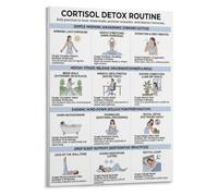 Detox Poster Stress Management Canvas Wall-Art Decor | Morning sunlight gentle movement deep gratitude journal reduce stress hormone naturally(Magnetic,12x18inch(30x45cm))