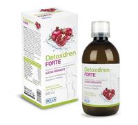 DETOXDREN FORTE 500ML