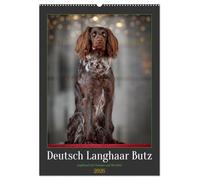 Deutsch Langhaar Butz - Jagdhund mit Passion und Herzblut (Wandkalender 2026 DIN A2 hoch), CALVENDO Monatskalender: Jagdhund mit Passion und Herzblut