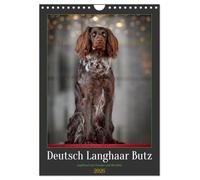 Deutsch Langhaar Butz - Jagdhund mit Passion und Herzblut (Wandkalender 2026 DIN A4 hoch), CALVENDO Monatskalender: Jagdhund mit Passion und Herzblut