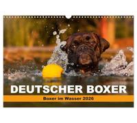 Deutscher Boxer - Boxer im Wasser 2026 (Wandkalender 2026 DIN A3 quer), CALVENDO Monatskalender: Boxer im Wasser fotografiert