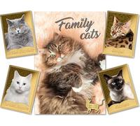 DEUTSCHER MÜNZEXPRESS Family Cats - Gatti di famiglia, album di ritagli, set completo con 12 copie, oro fine, applicazione a colori brillanti, con certificati di autenticità