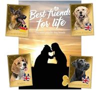 DEUTSCHER MÜNZEXPRESS Migliori amici per la vita, album di ritagli, set completo con 12 copie, oro fine, applicazione a colori brillanti, con certificati di autenticità